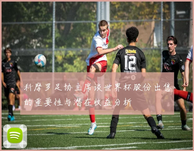 科摩罗足协主席谈世界杯股份出售的重要性与潜在收益分析