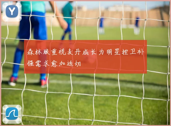 森林狼重视麦丹成长为明星控卫补强需求愈加迫切