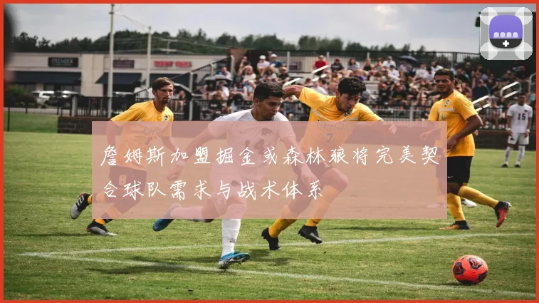 詹姆斯加盟掘金或森林狼将完美契合球队需求与战术体系